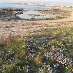 A Stone's Throw From Everything