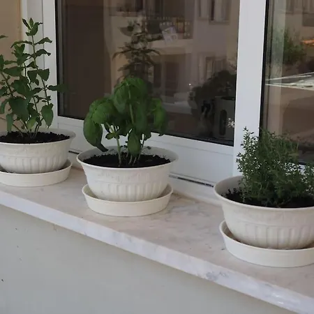 Διαμέρισμα A Stone's Throw From Everything