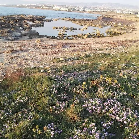 A Stone's Throw From Everything