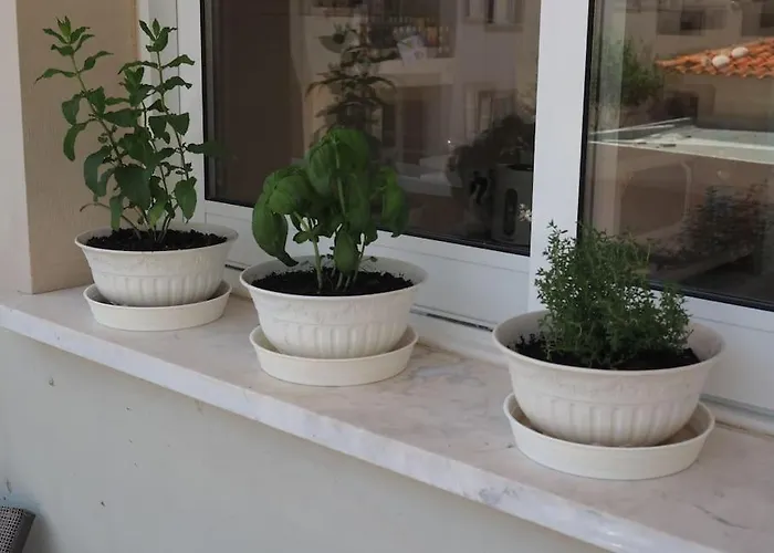 Apartmán A Stone's Throw From Everything