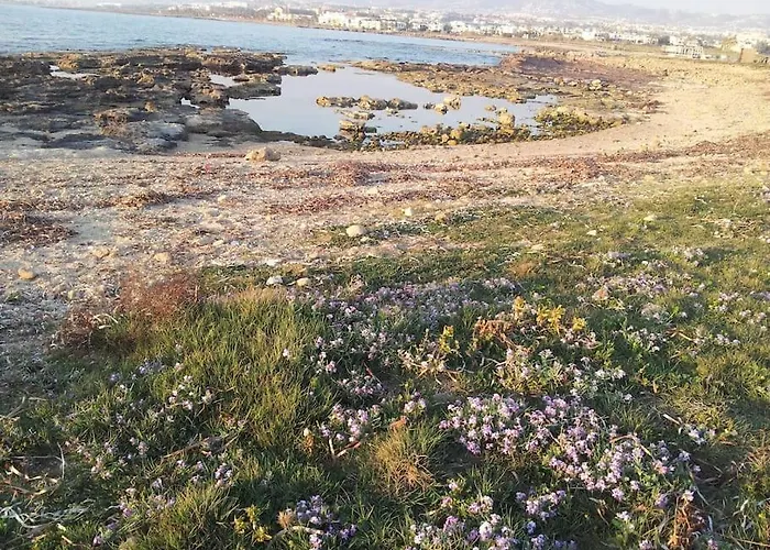 A Stone's Throw From Everything